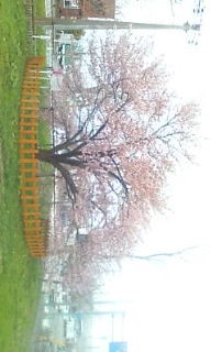 20100515094133.jpg